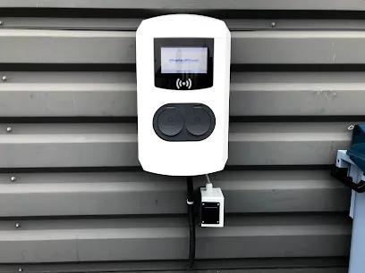 Image de Electro-Mob